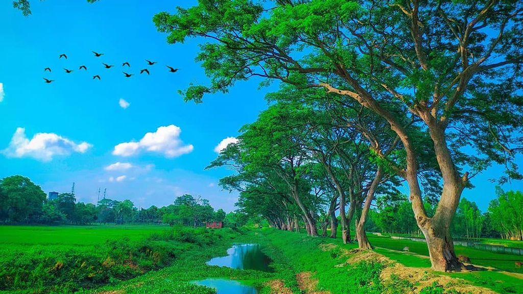 Best Time to Travel to Bangladesh